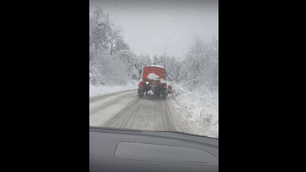 Снегорин на разходка в Трявна