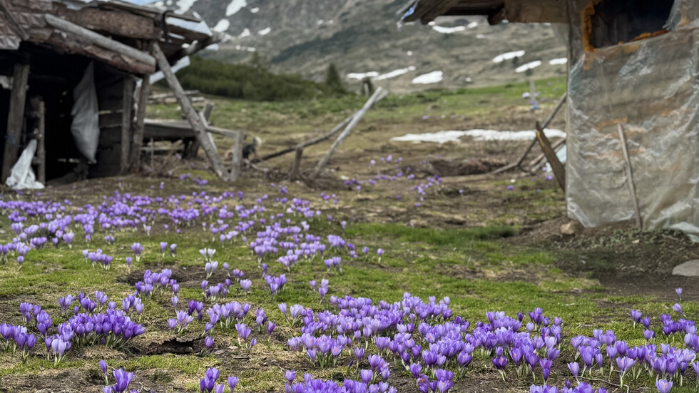 Пролет в планината