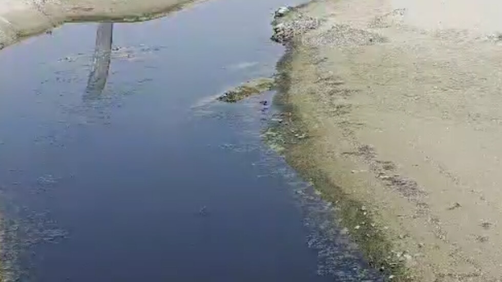 Замърсяване на плаж "Златна рибка"