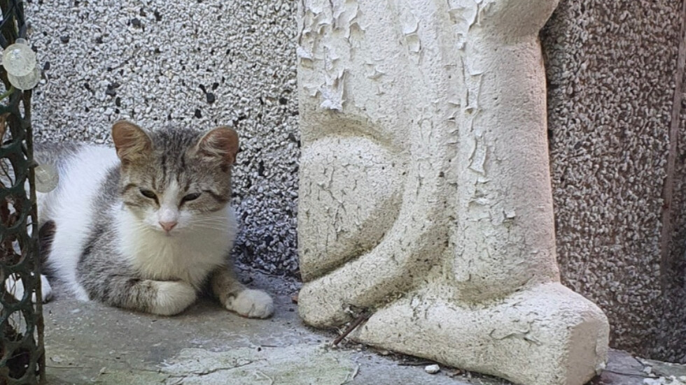 Компания