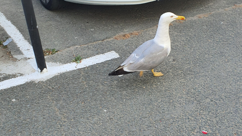 Лято