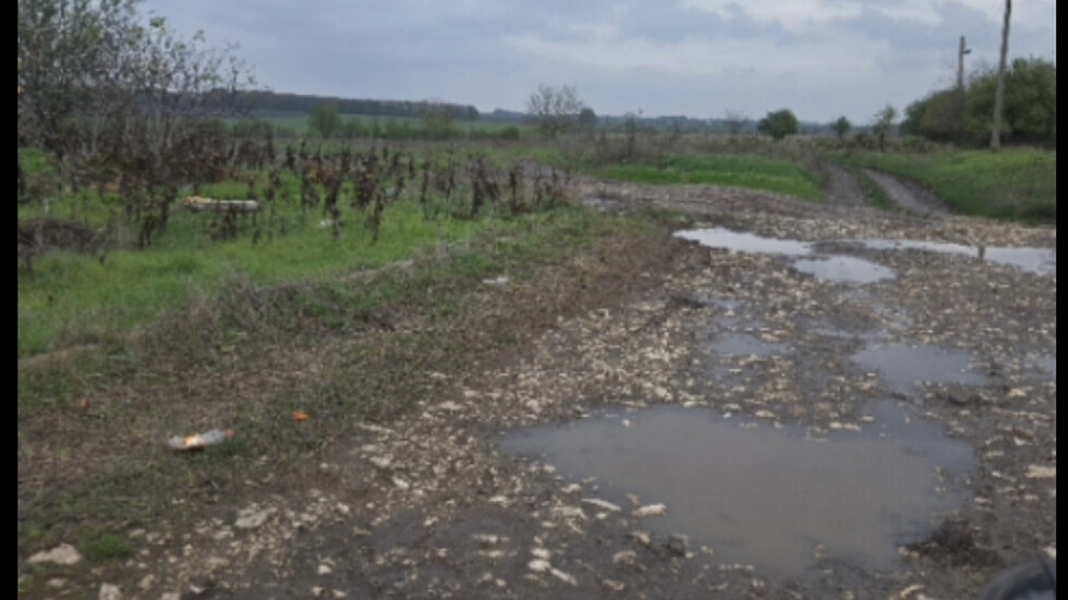 Състоянието на улиците в село Дъбрава, общ. Балчик, обл.Добрич