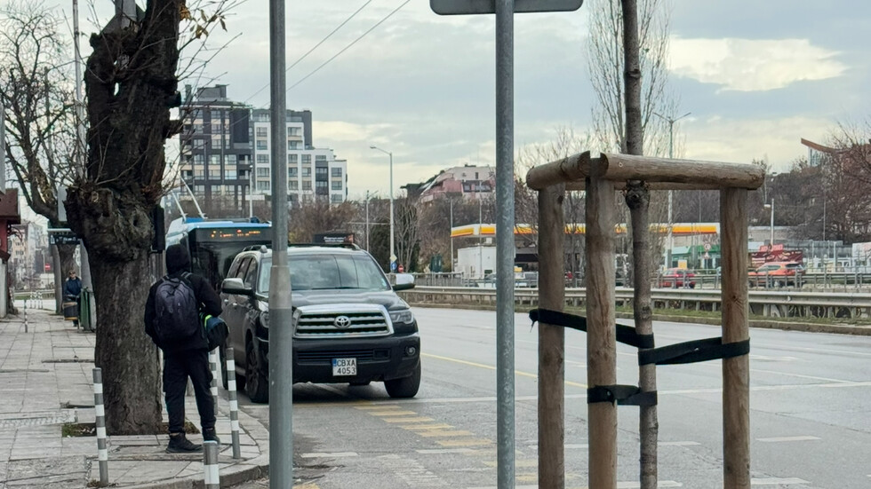 Паркиране на цар