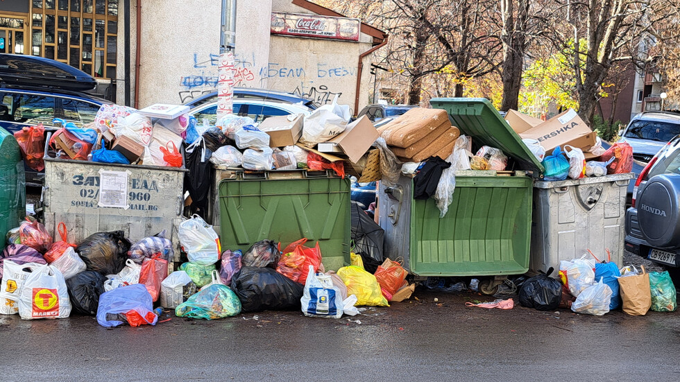 Боклукът отново "превзе" "Белите брези", "Красно село", в София