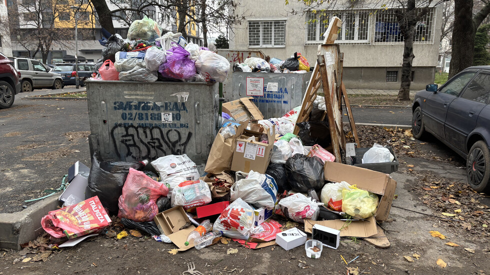 Кризата с боклука в "Люлин"