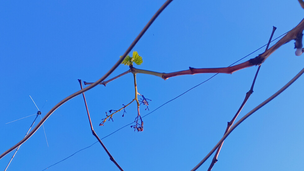 Пролет през декември