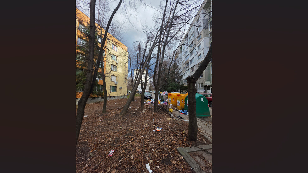 Дърво пред падане