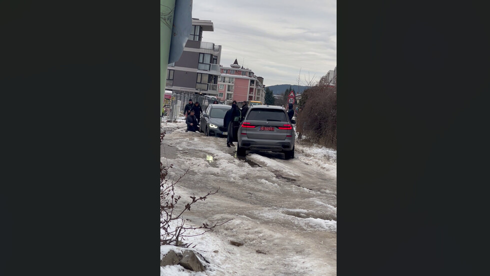 Случаят с палмата продължение, видео 2