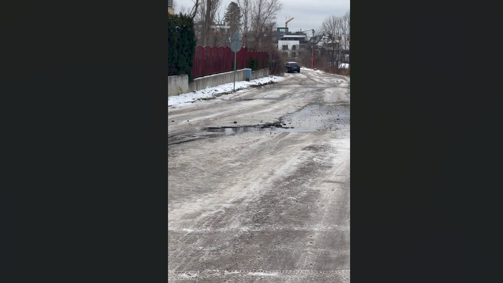 Случаят с палмата ул. "Момино венче" продължение