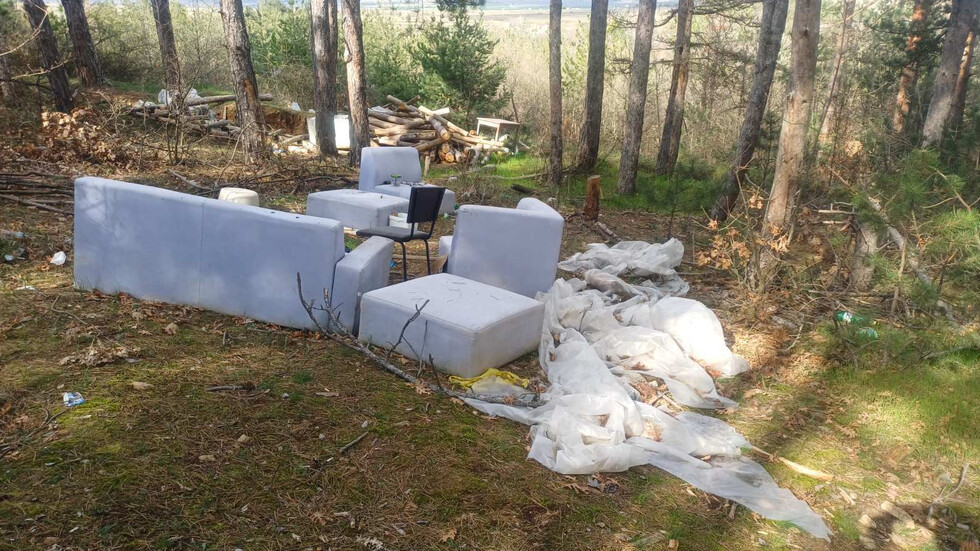 Сметище в гората или дом на емигранти