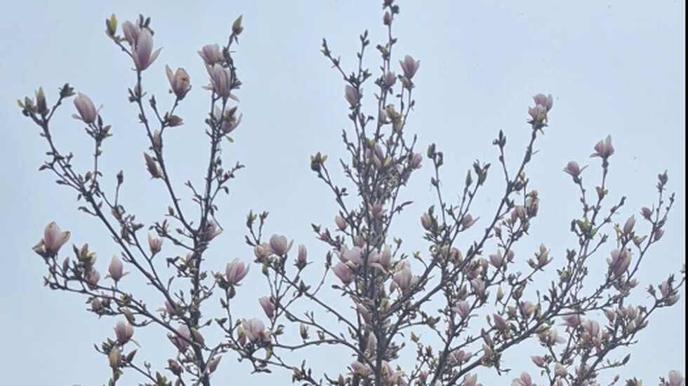 Сняг на Разпети петък