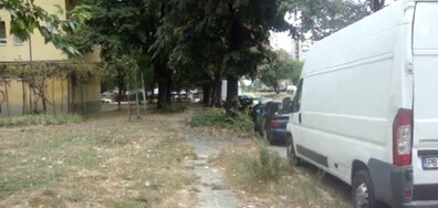 Как да оцеляваме?