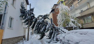 Поражения в центъра на София при първи сняг