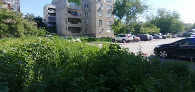 Тревата в Пловдив