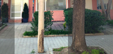 Опасни електрически стълбове