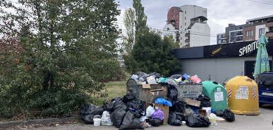 Кризата с боклука в "Люлин"