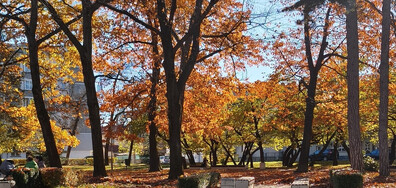 Есен в Габрово