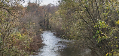 Красота от Еленския балкан, село Чакали