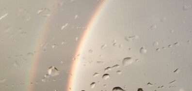 Чудо на природата