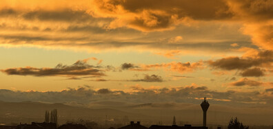 Чудесата на природата