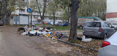 Нерагламентирано сметище във Варна