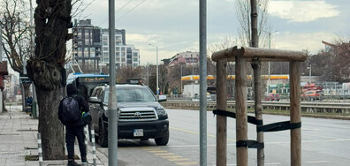 Паркиране на цар