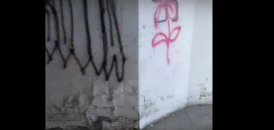 Безобразното състояние на подлеза на гара Искър