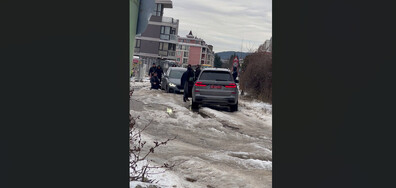 Случаят с палмата продължение, видео 2