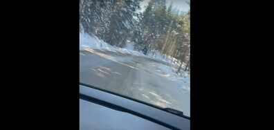 Неправилно паркиране!