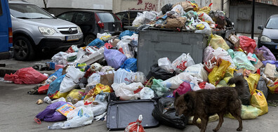 Боклука на София