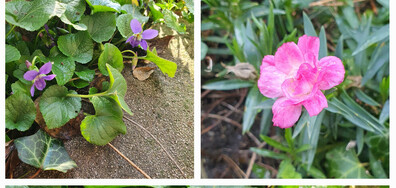 Пролетта настъпва!🙂🌼🍀