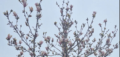 Сняг на Разпети петък