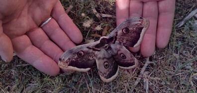 Сред скалите на Лъкатник