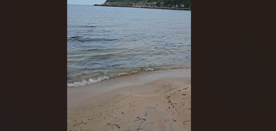 Изливане на фекални води на плажа в Царево