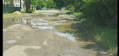 Пътища в област Добрич