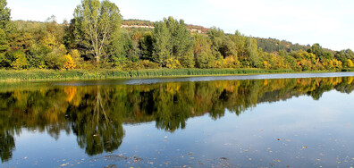 Река Искър - есенни отражения край село Крета