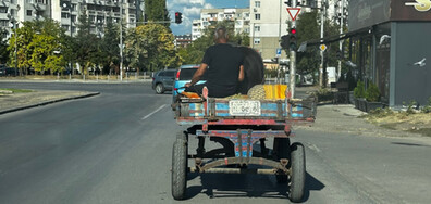 Каруца на пътя в София