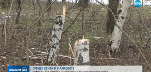 СРЕЩУ СЕЧТА В ПАРКОВЕТЕ: ВМРО иска затвор за нарушителите
