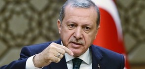 Кое смути покоя на Ердоган?