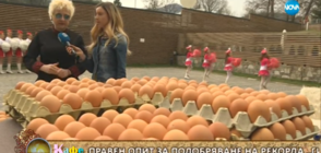 Опит за рекорд на Гинес по боядисване на яйца във Велинград