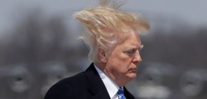 Рошавата коса на Тръмп стана хит в мрежата (СНИМКА)