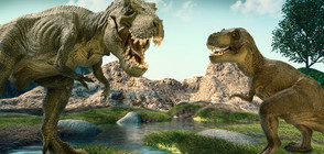 Учени: Не астероид, а отровни растения са виновни за изчезването на динозаврите