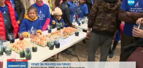 Рекордно боядисване на яйца във Велинград (ВИДЕО)