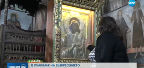 Стотици вярващи се поклониха пред Бачковската чудотворна икона (ВИДЕО)