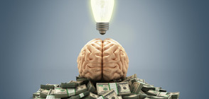 Финансово успешните имат физиологична особеност на мозъка