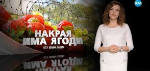 "Темата на NOVA": За щастието, което е там, където не го очакваме