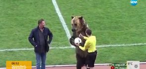 Не съдия, а мечка даде началото на мач в Русия (ВИДЕО)