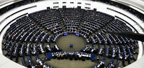 Кой ще влезе в Европейския парламент?