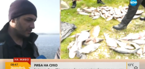 Бракониер изхвърли 80 кг риба от колата си, бягайки от полицията