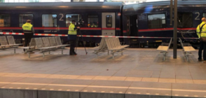 Над 50 са ранени при сблъсък на два влака в Залцбург (ВИДЕО+СНИМКИ)